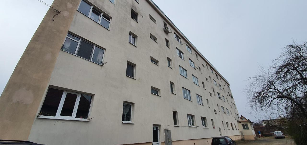 Appartamento Garsoniera Horezu Esterno foto